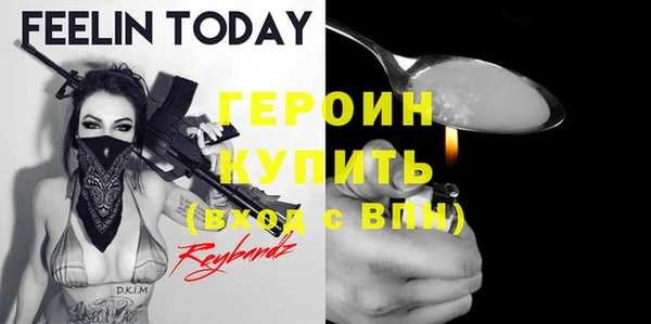 индика Алексин