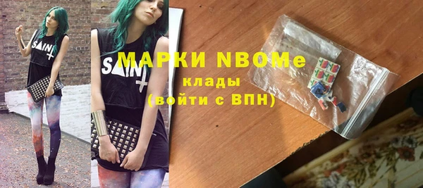 индика Алексин