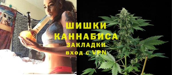 индика Алексин