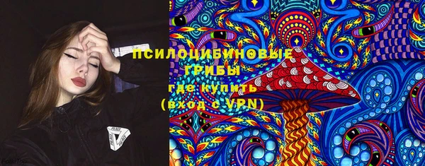 индика Алексин