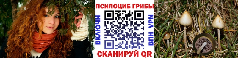 Галлюциногенные грибы мицелий  хочу наркоту  kraken ONION  Анжеро-Судженск 
